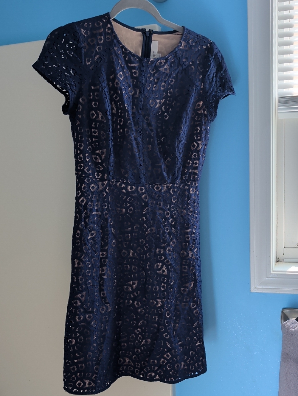 Navy Lace Short-Sleeve Mini Dress